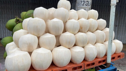 xuất khẩu dừa tươi Việt Nam