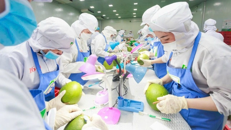 Giải pháp trọng tâm mở cửa thị trường nông sản