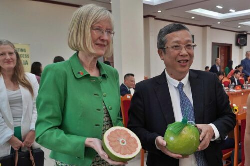 灵活调度助力榴莲出口突破2024年纪录，2025年越南果蔬出口有望达到85亿美元
