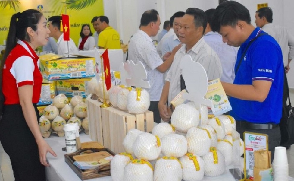 Fresh Coconut Climbs the Ranks, but Standardization of Varieties and Growing Areas Is Urgently Needed