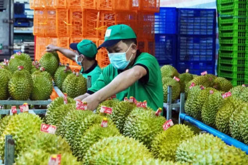 Xuất khẩu nông sản chuyển mạnh từ “lượng” sang “chất”, hướng mục tiêu 74 tỷ USD năm 2026