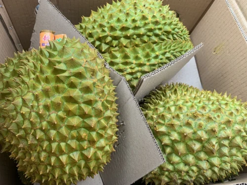 Ngành sầu riêng vào giai đoạn bản lề, lấy chất lượng làm “tấm hộ chiếu mới”